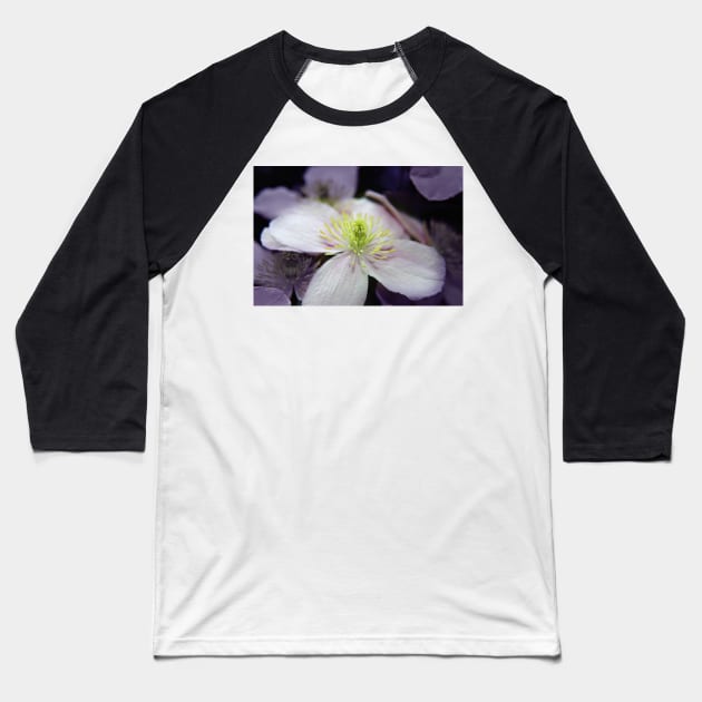 Pink Clematis flower Baseball T-Shirt by InspiraImage
